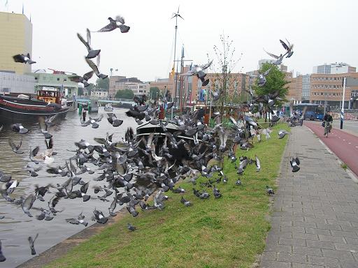 KONICA MINOLTA DIGITAL CAMERA