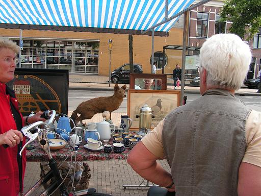 KONICA MINOLTA DIGITAL CAMERA