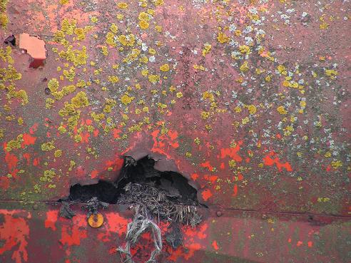 KONICA MINOLTA DIGITAL CAMERA