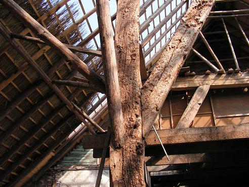 KONICA MINOLTA DIGITAL CAMERA