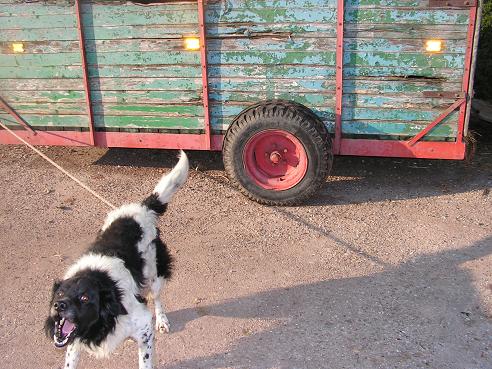 KONICA MINOLTA DIGITAL CAMERA