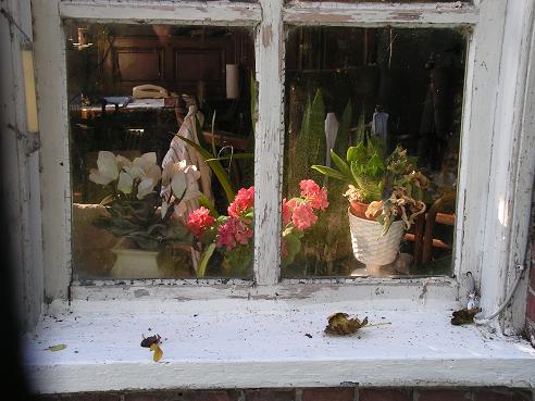 KONICA MINOLTA DIGITAL CAMERA