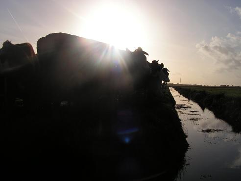 KONICA MINOLTA DIGITAL CAMERA