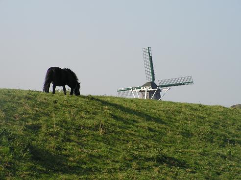 KONICA MINOLTA DIGITAL CAMERA