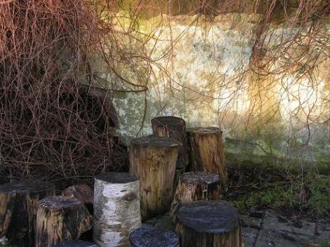 KONICA MINOLTA DIGITAL CAMERA