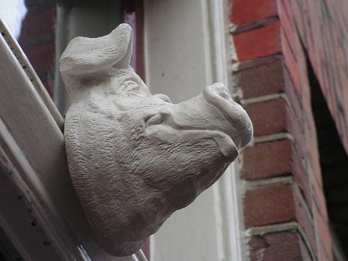 KONICA MINOLTA DIGITAL CAMERA