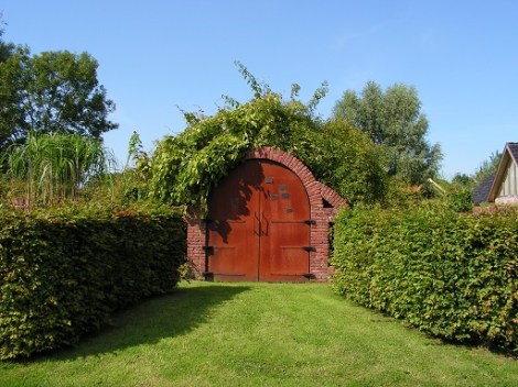 KONICA MINOLTA DIGITAL CAMERA