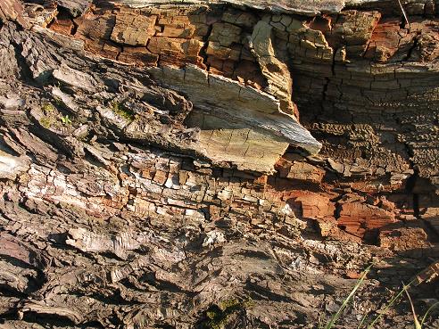 KONICA MINOLTA DIGITAL CAMERA