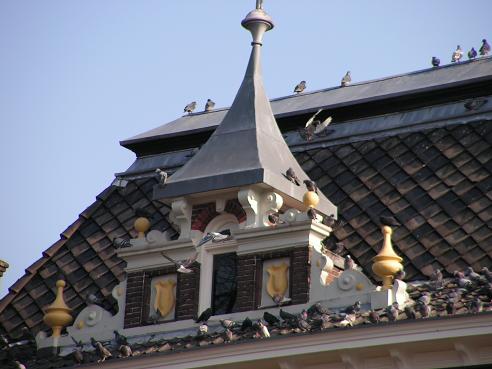 KONICA MINOLTA DIGITAL CAMERA