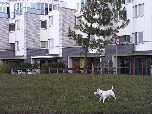 KONICA MINOLTA DIGITAL CAMERA