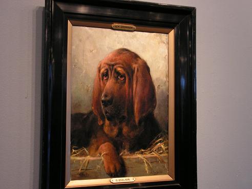 KONICA MINOLTA DIGITAL CAMERA