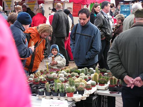 KONICA MINOLTA DIGITAL CAMERA