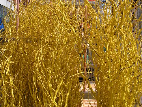 KONICA MINOLTA DIGITAL CAMERA