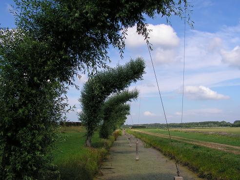 KONICA MINOLTA DIGITAL CAMERA