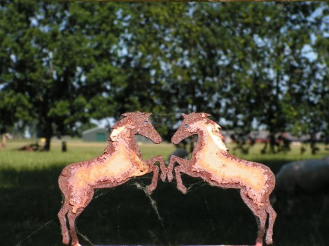 KONICA MINOLTA DIGITAL CAMERA