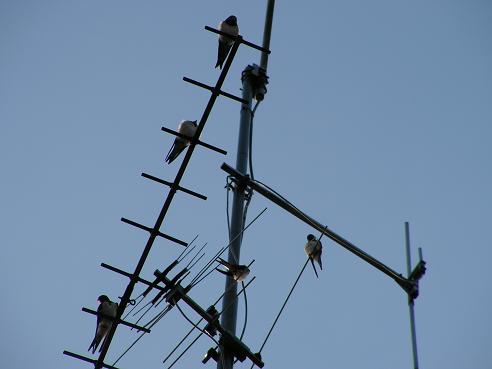 KONICA MINOLTA DIGITAL CAMERA