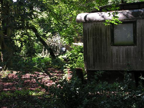 KONICA MINOLTA DIGITAL CAMERA