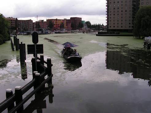 KONICA MINOLTA DIGITAL CAMERA