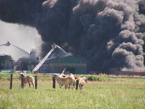 KONICA MINOLTA DIGITAL CAMERA