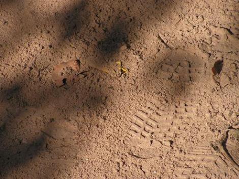 KONICA MINOLTA DIGITAL CAMERA