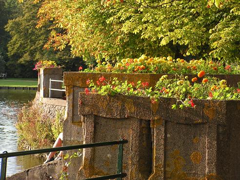 KONICA MINOLTA DIGITAL CAMERA