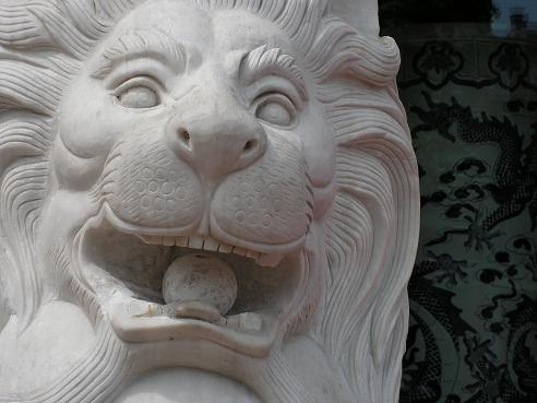 KONICA MINOLTA DIGITAL CAMERA