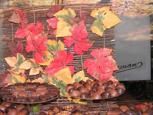 KONICA MINOLTA DIGITAL CAMERA