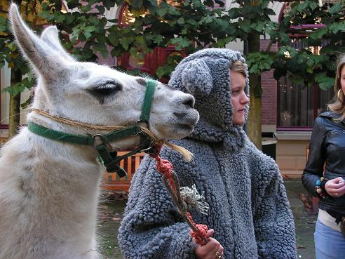 KONICA MINOLTA DIGITAL CAMERA