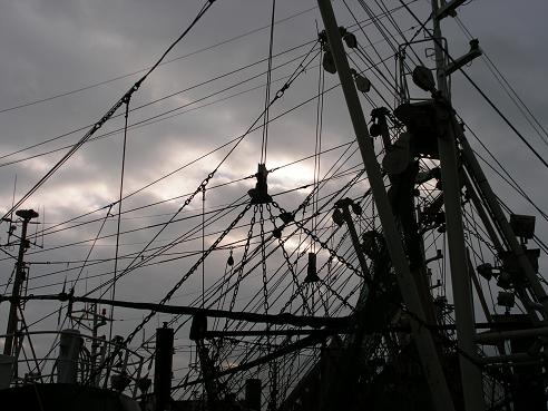 KONICA MINOLTA DIGITAL CAMERA