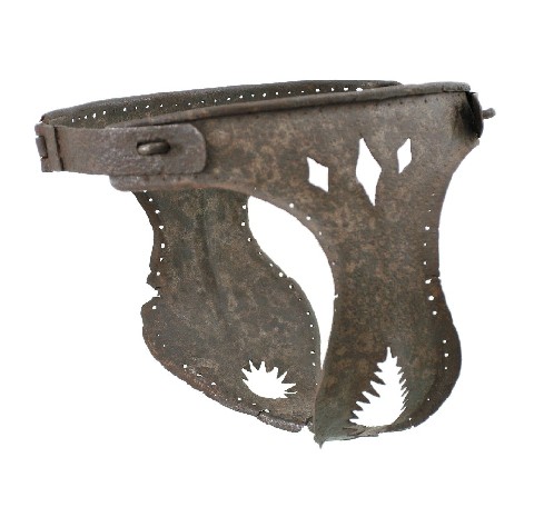 Geplaatst op 23 januari 2007