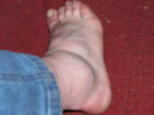 KONICA MINOLTA DIGITAL CAMERA