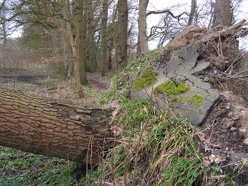 KONICA MINOLTA DIGITAL CAMERA