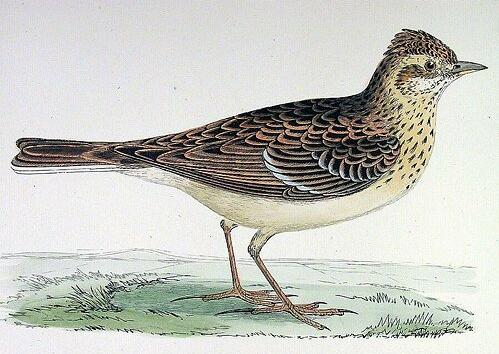 Geplaatst op 17 maart 2007  e