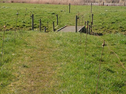 KONICA MINOLTA DIGITAL CAMERA