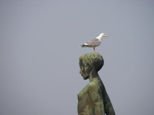 KONICA MINOLTA DIGITAL CAMERA