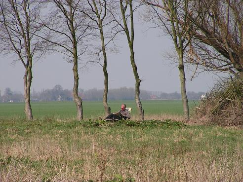 KONICA MINOLTA DIGITAL CAMERA