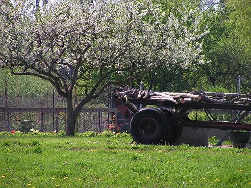 KONICA MINOLTA DIGITAL CAMERA