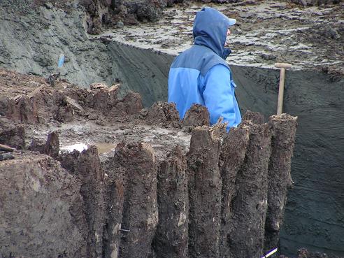 KONICA MINOLTA DIGITAL CAMERA