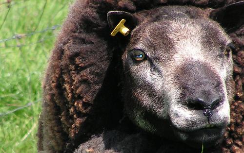 Geplaatst op 29 mei 2007  a