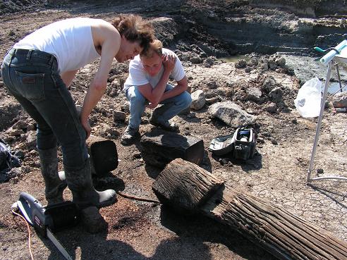 KONICA MINOLTA DIGITAL CAMERA