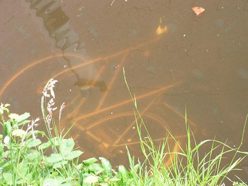 KONICA MINOLTA DIGITAL CAMERA