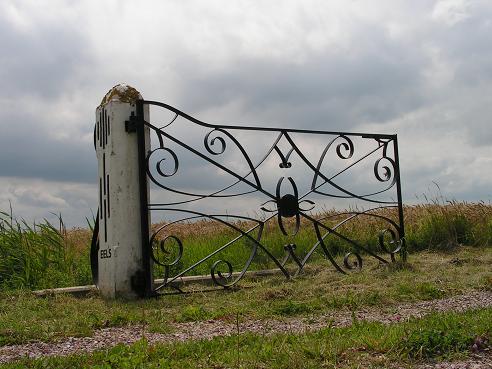 KONICA MINOLTA DIGITAL CAMERA