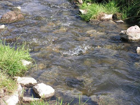 KONICA MINOLTA DIGITAL CAMERA