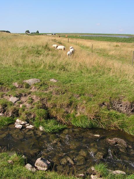 KONICA MINOLTA DIGITAL CAMERA