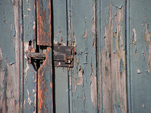 KONICA MINOLTA DIGITAL CAMERA