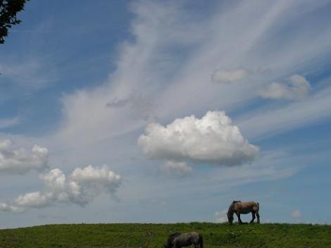 KONICA MINOLTA DIGITAL CAMERA