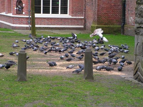 KONICA MINOLTA DIGITAL CAMERA