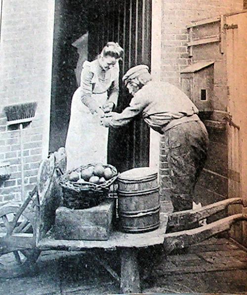 KONICA MINOLTA DIGITAL CAMERA