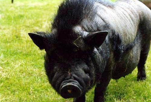 Geplaatst op 17 september 2007  d