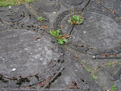 KONICA MINOLTA DIGITAL CAMERA